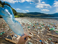 plásticos, botellas y basura en el mar