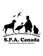 S.P.A. Canada
