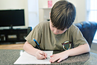 Mason Fleske: Carnation Experiment