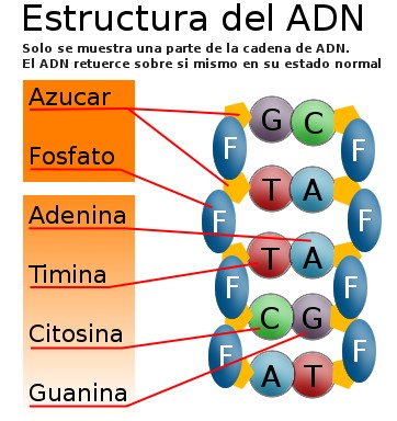 Mb Sistemas Informaticos: Un ADN distinto