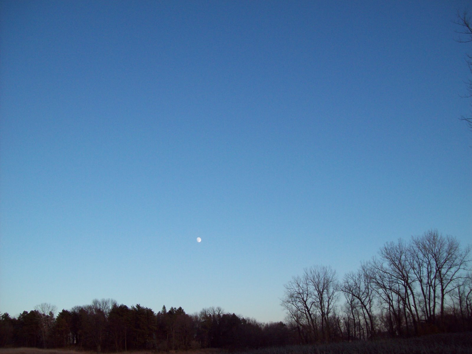 [101_0176.JPG]