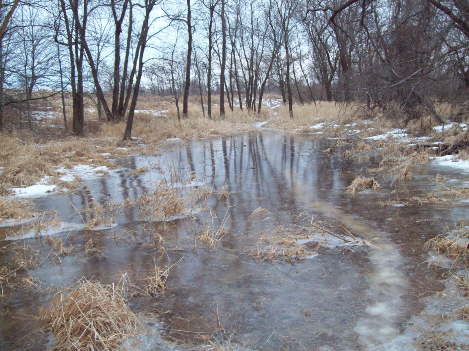 [101_0455.JPG]