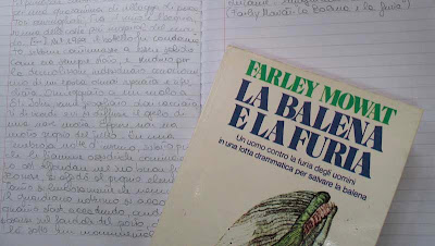 La Balena e la furia La Balena e la furia