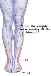 The Good Foot Project: Name the Nerve...