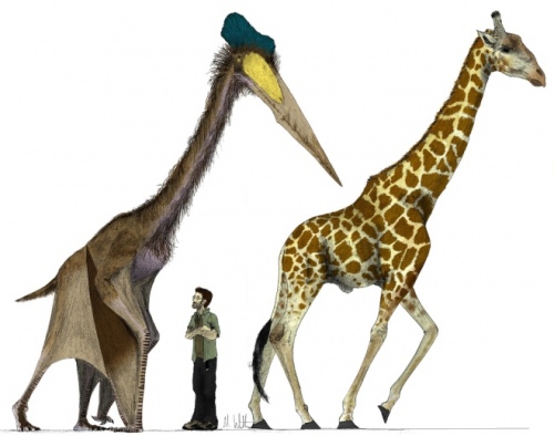 largest flying dinosaur