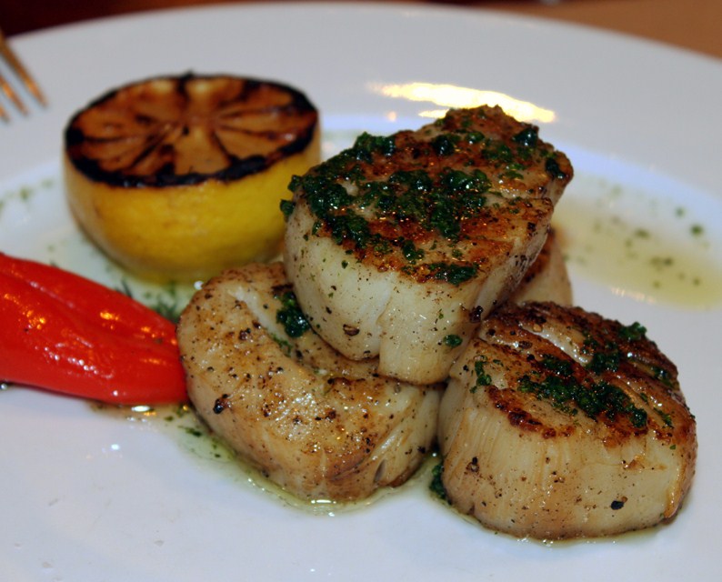 [Scallops.JPG]