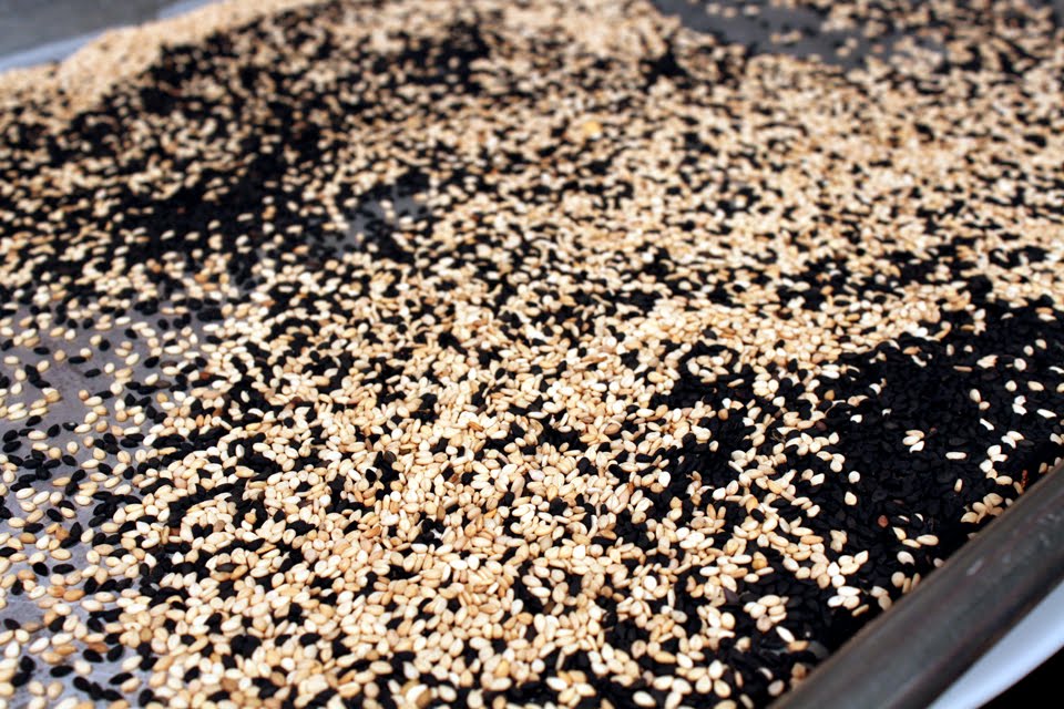 [Sesame+seeds.JPG]