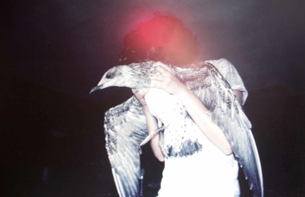 ameen°anil Unpublished best unseen photography