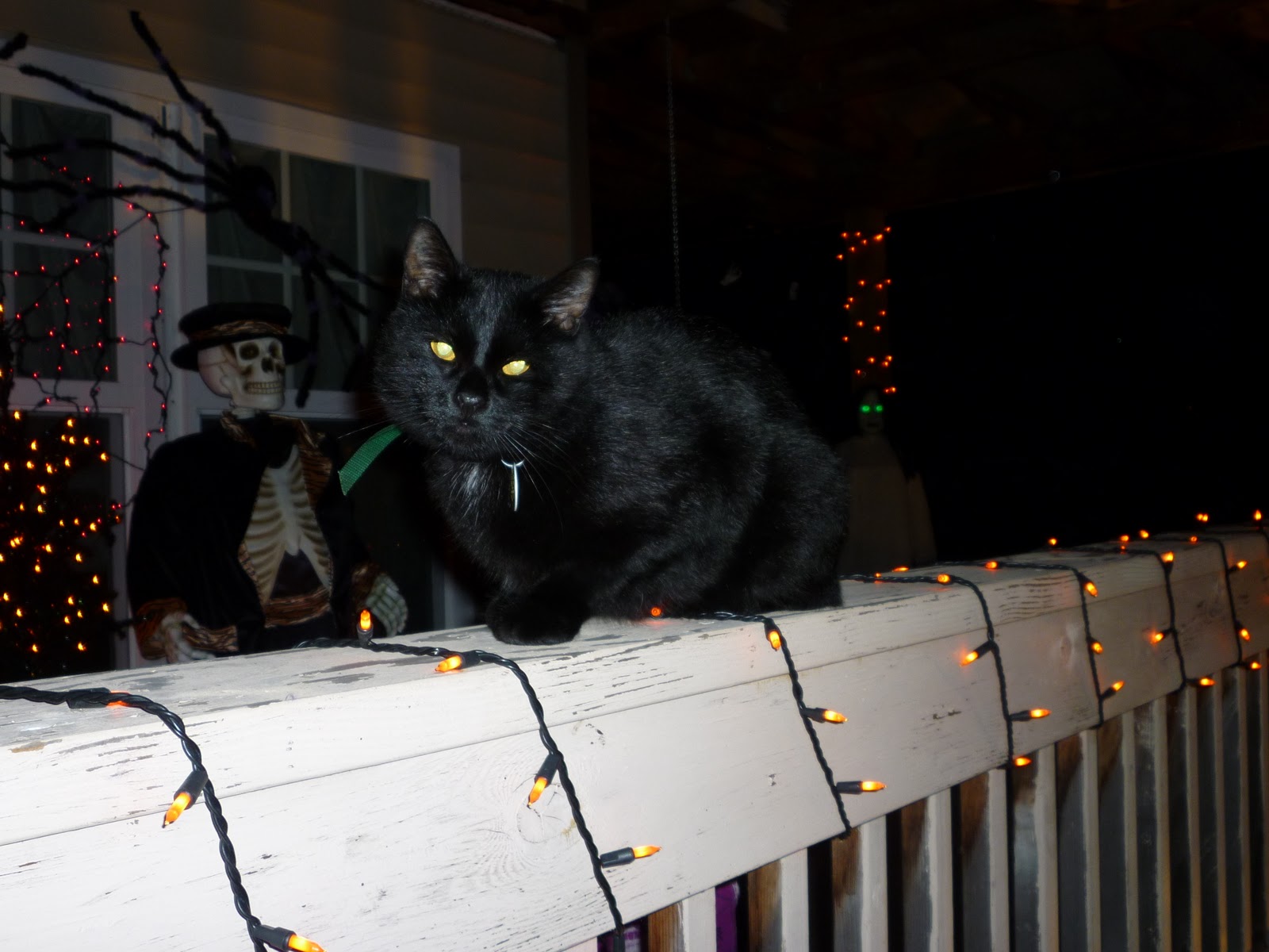 Nine is Fine Halloween Decor