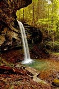 Waterfall --Baptist (southern) News and updates