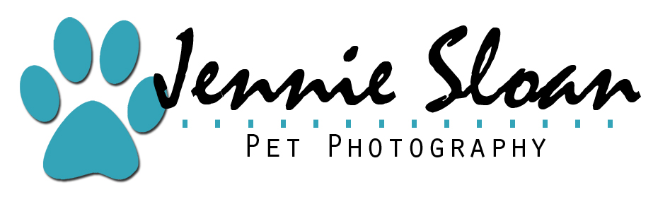 Jennie Sloan Pet Photography