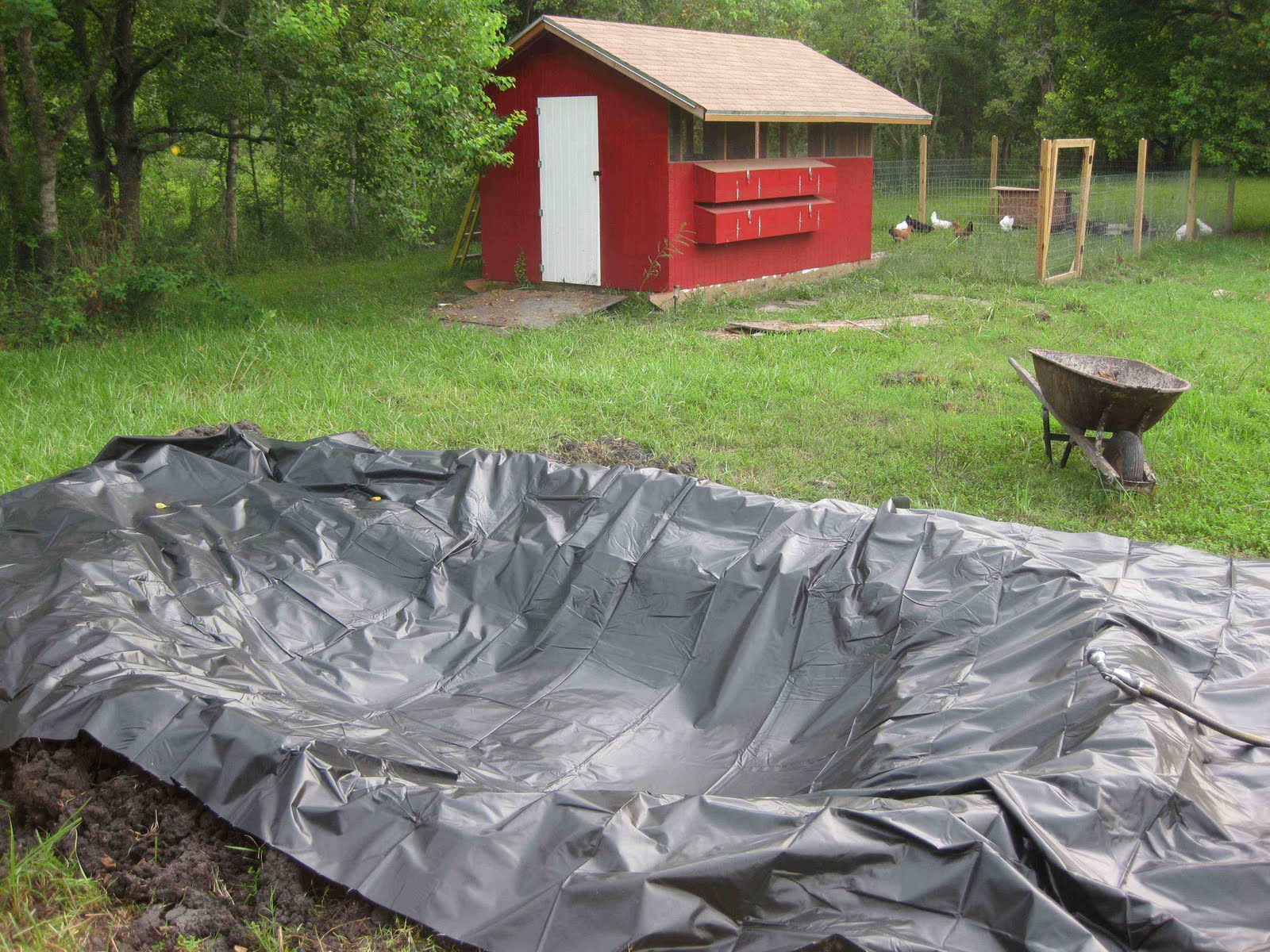 Savaroo Ranch Duck Pond Progress