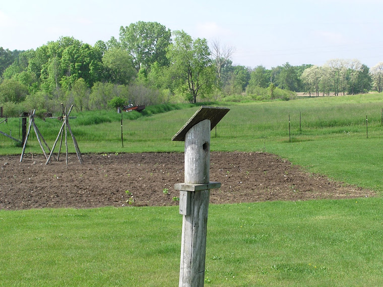 Bird House