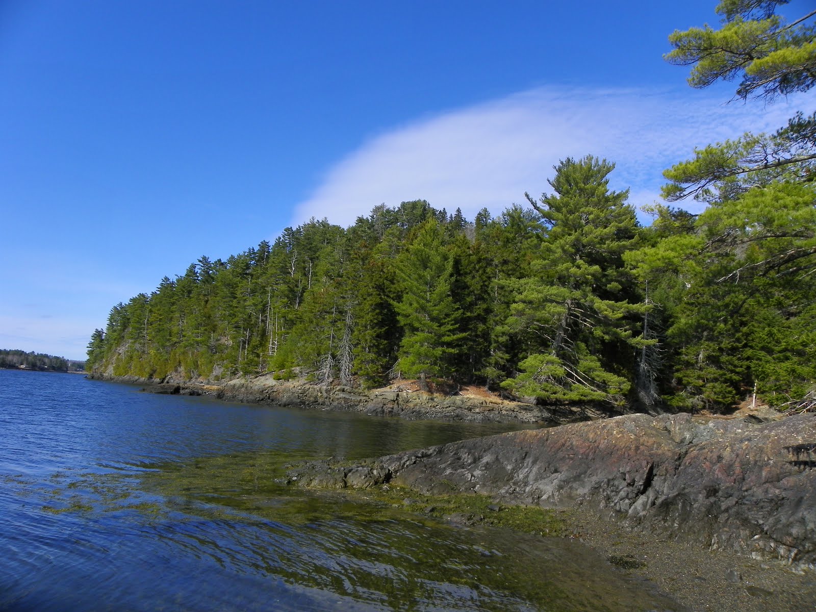 The Adventures of Joshua and Tilley Spoon Island Afternoon Hike, Part