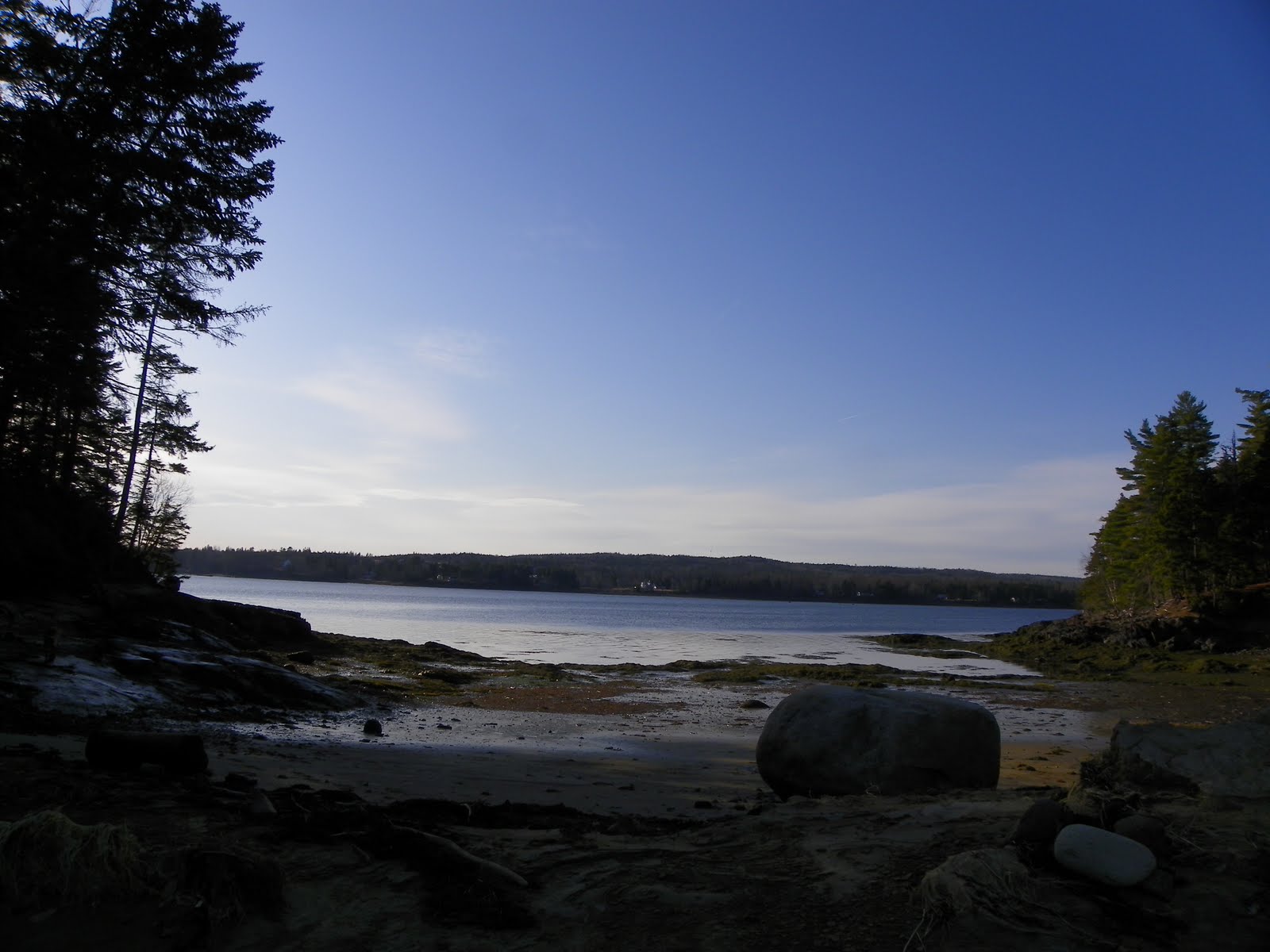 The Adventures of Joshua and Tilley Spoon Island Evening Hike, Part 4