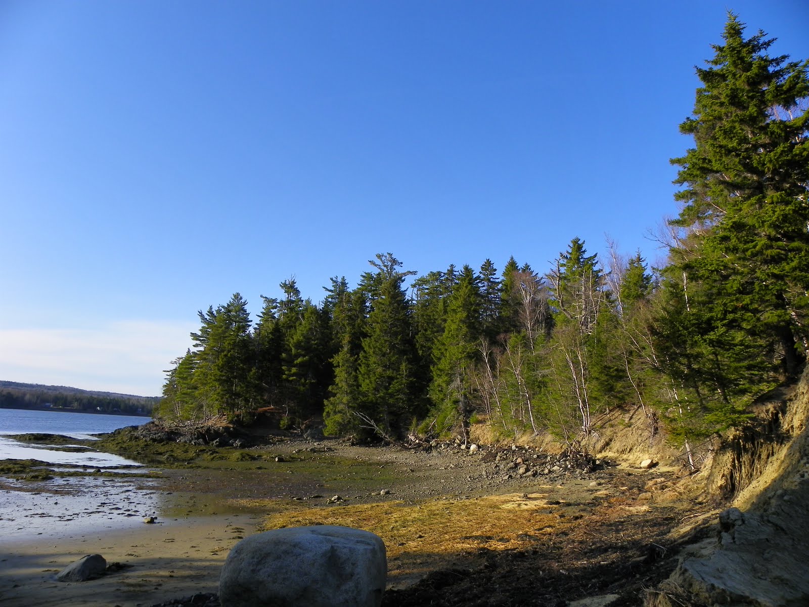 The Adventures of Joshua and Tilley Spoon Island Evening Hike, Part 4