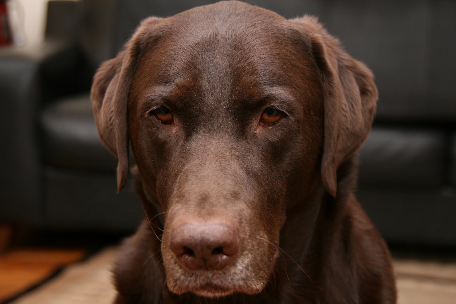 Bilbo's Random Thought Collection: August 2010