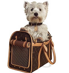 Designer Handbags Reviews: Replica Louis Vuitton dog carriers and other accessories
