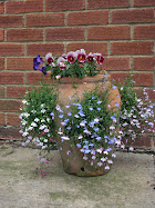 Summer flowers