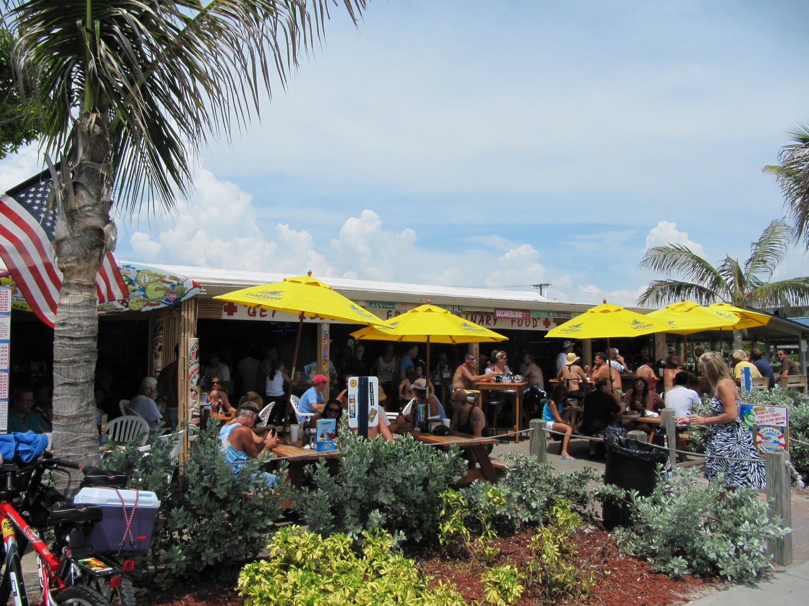 The Adventures of Gypsies in the Palace Cocoa Beach Land of Surf and