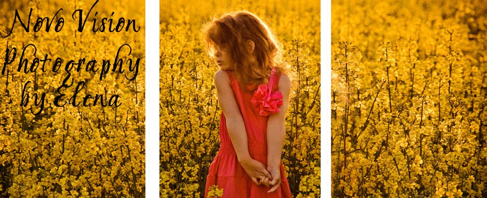 Novo Vision Photography