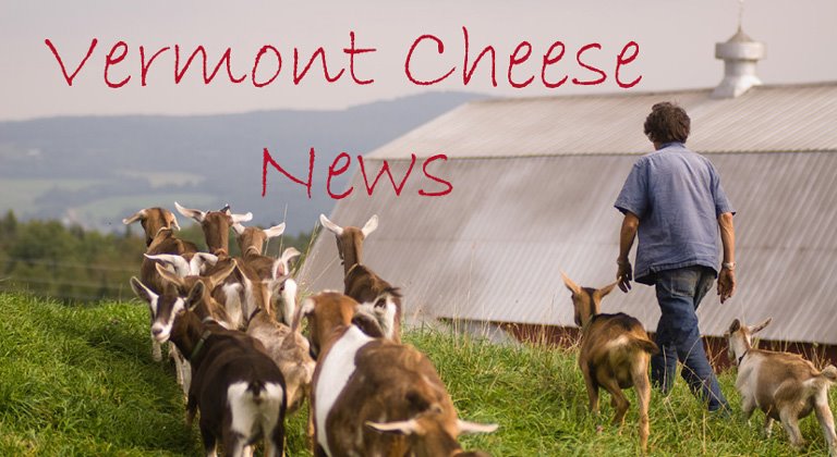 Vermont Cheese News
