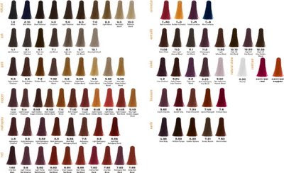 Schwarzkopf Color Chart