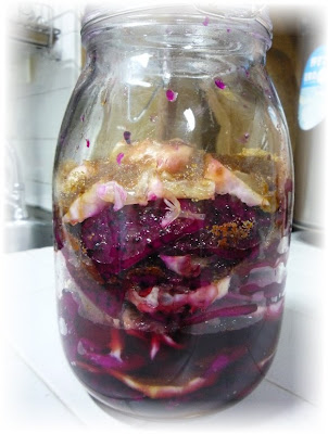 The Diary of the Weekend Baker.......: Dragon Fruit Enzyme