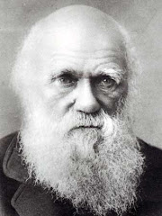 Año Darwin