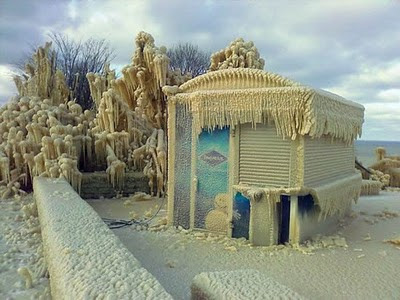 ice storm sculptures