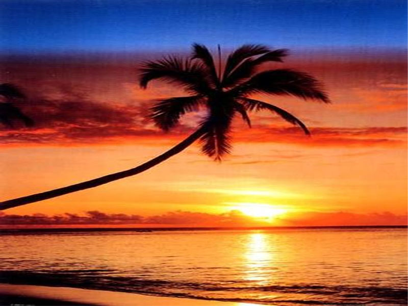 NATURE SUNSET Nature sunset
