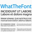 [whatthefont.jpg]