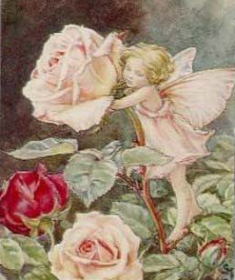 [0ablog1b0004332.jpg]