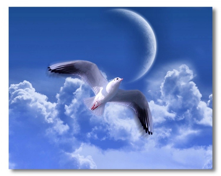 [0ablog1b65000+a.jpg]