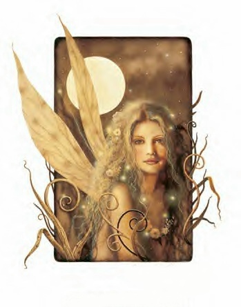 [0ablog1b2sde43v.jpg]