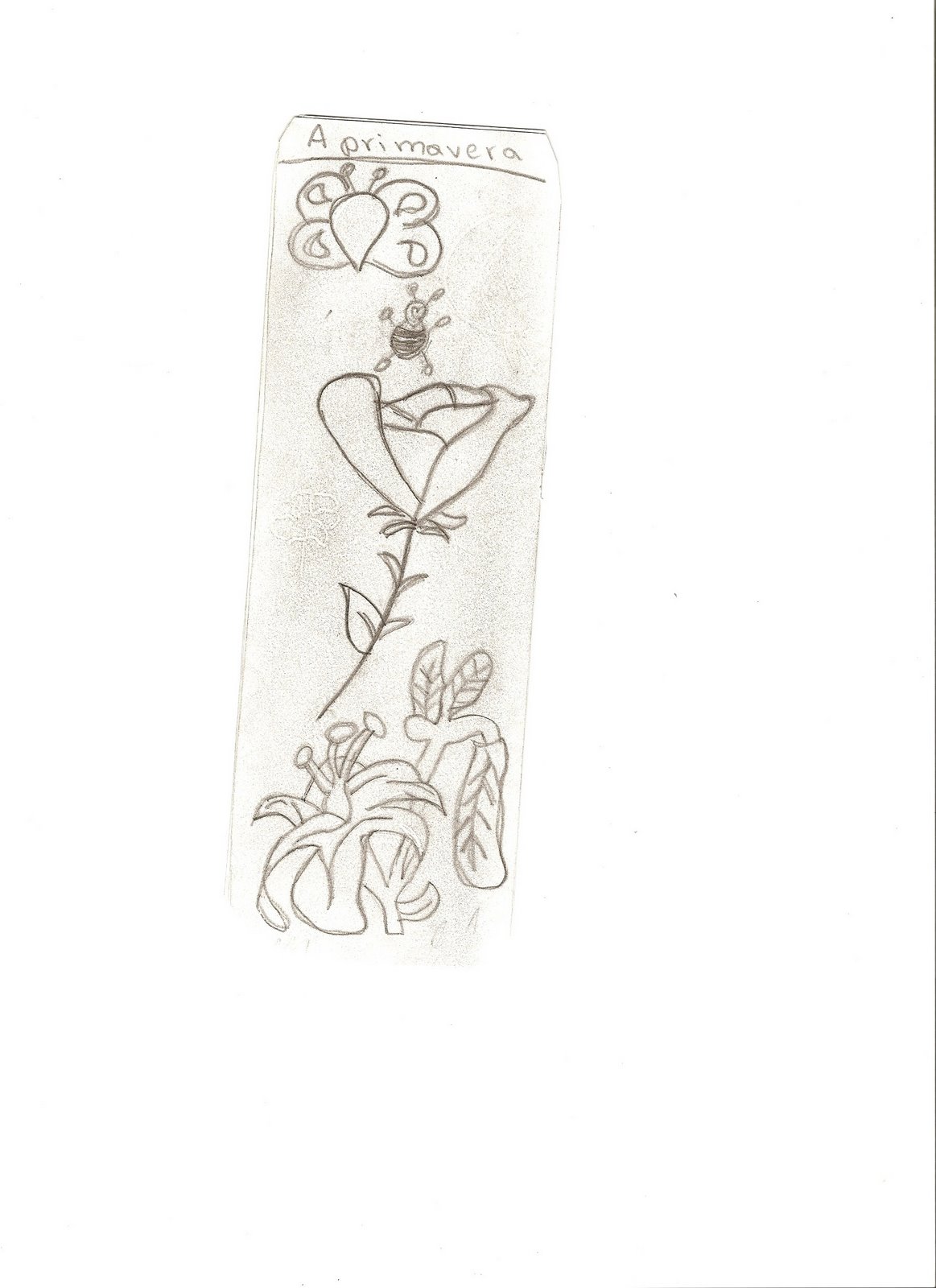 [Digitalizar0024.jpg]