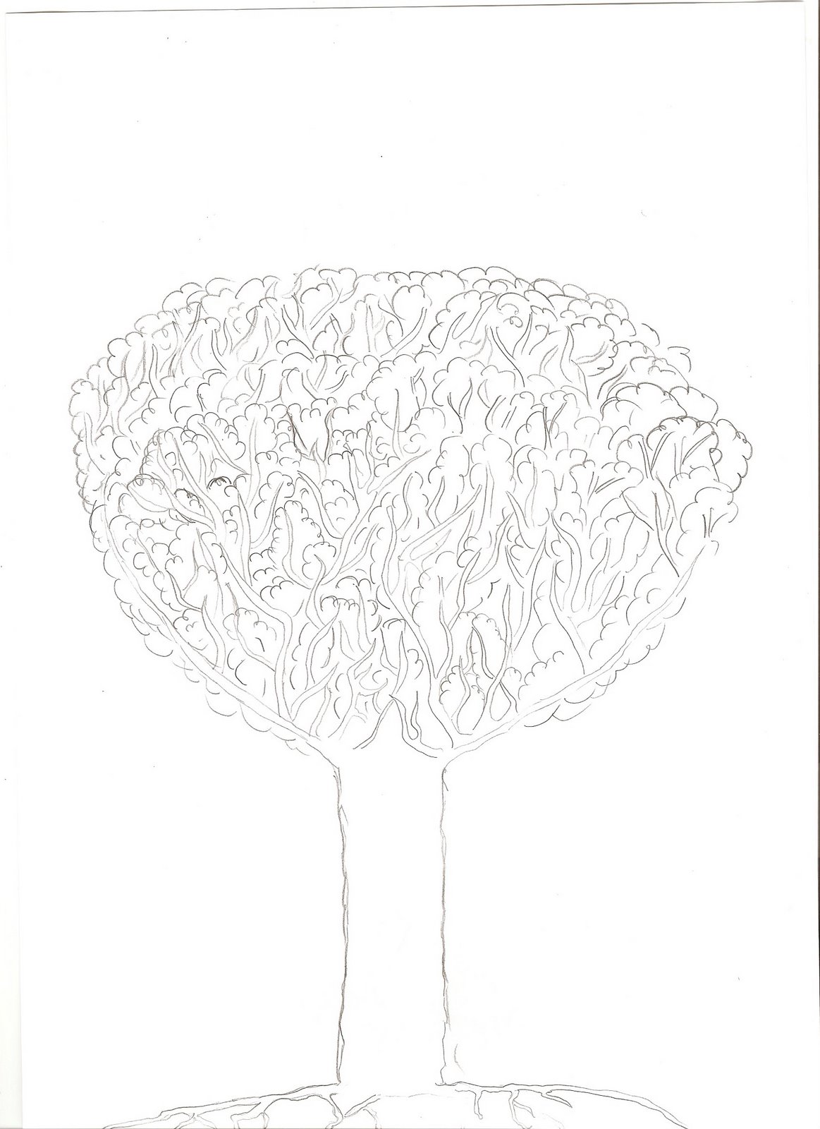 [Digitalizar0038.jpg]