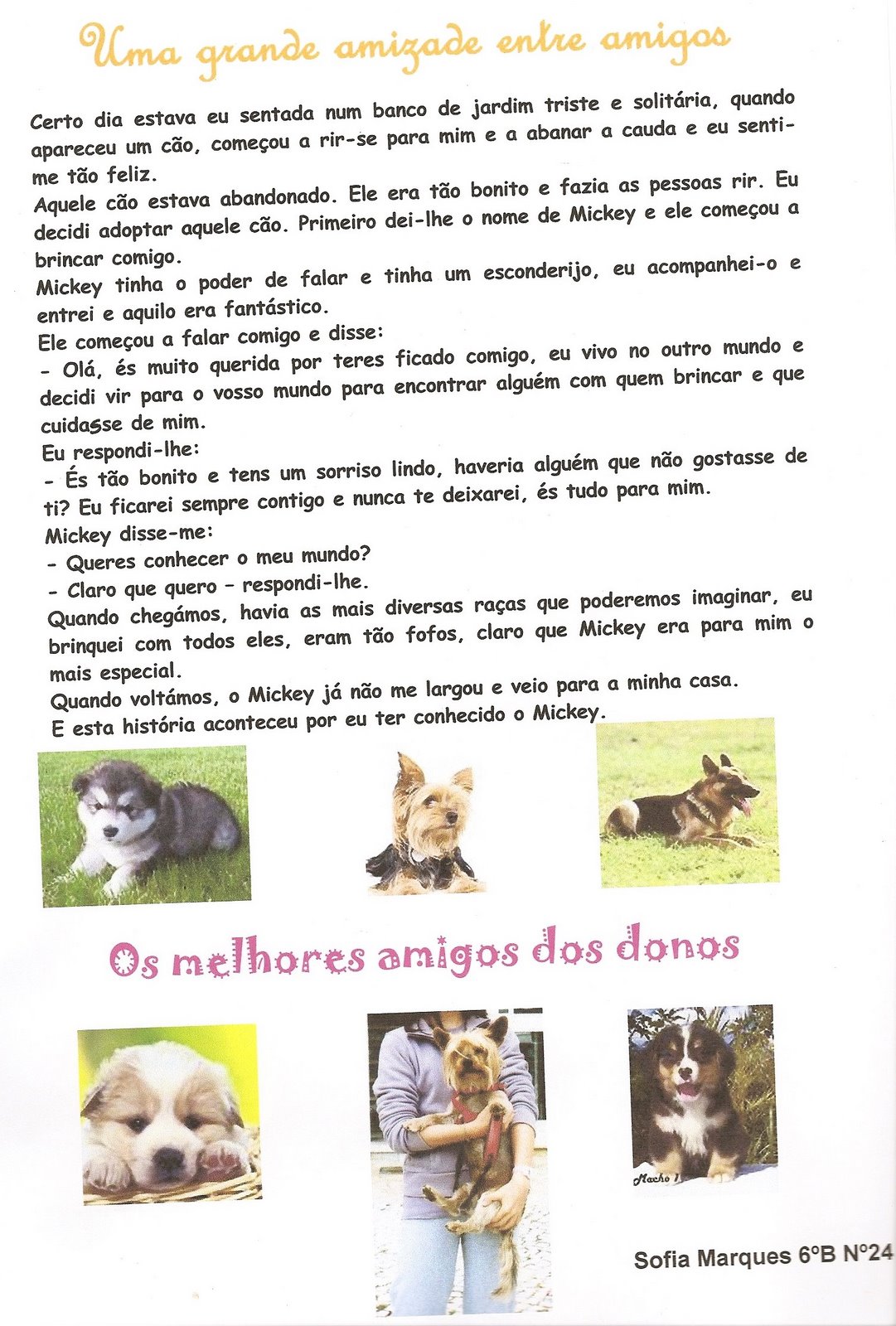 [Digitalizar0031.jpg]