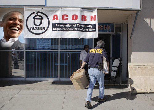 [acorn1.PNG]