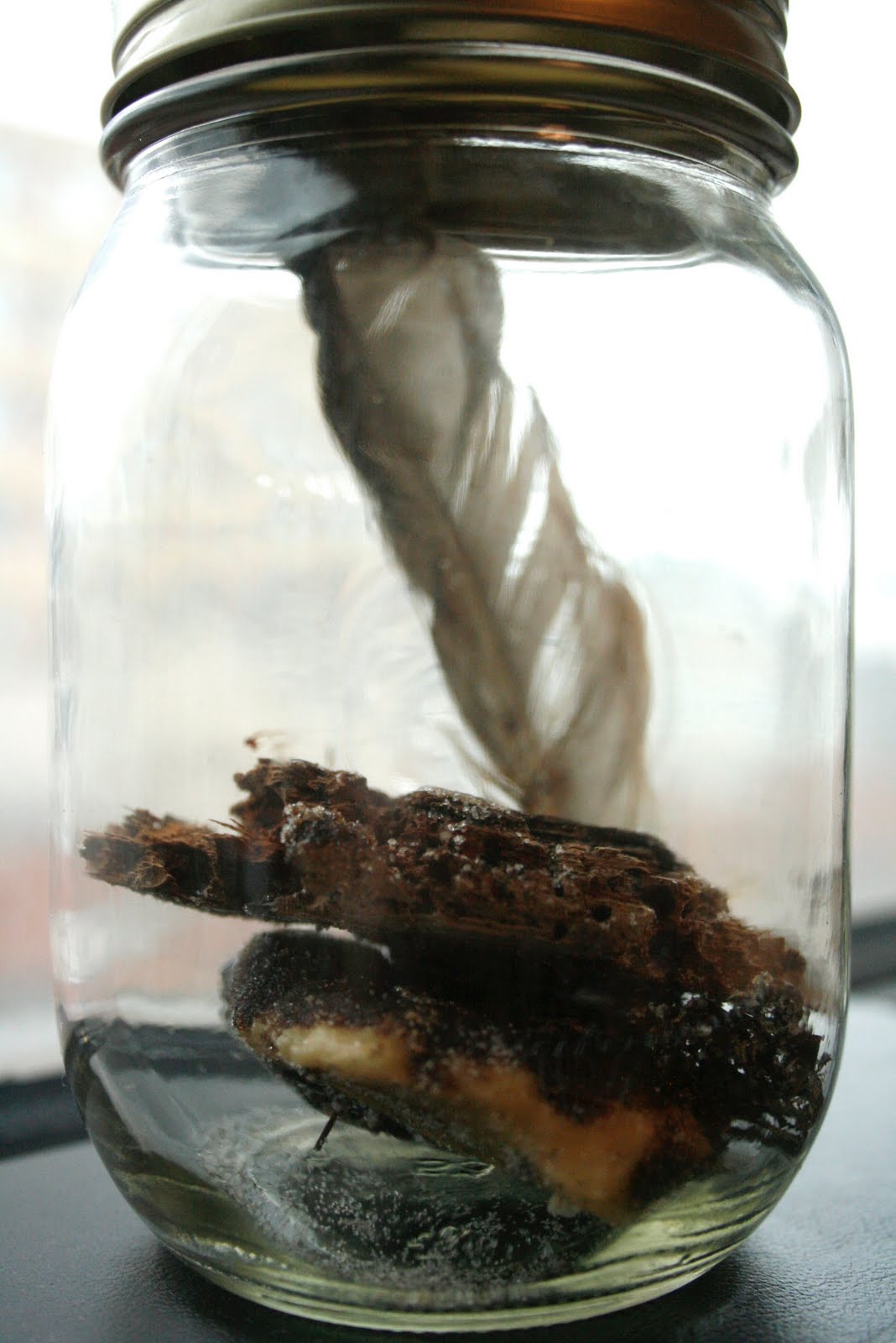 Trout Fischin' in America Tar Ball Jars on Sale Tomorrow at Jackson Square