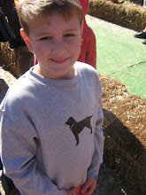 Pumpkin Patch
