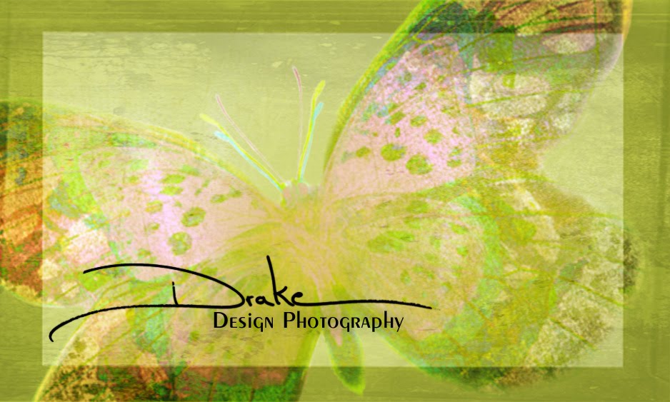 Drake Design Photography
