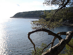 View of Cap Ferrat