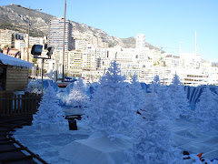 Snowy Xmas Trees and Million Dollar Yachts...