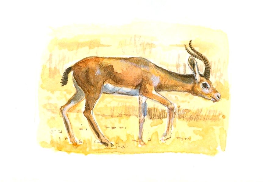 [Digitalizar0004.jpg]