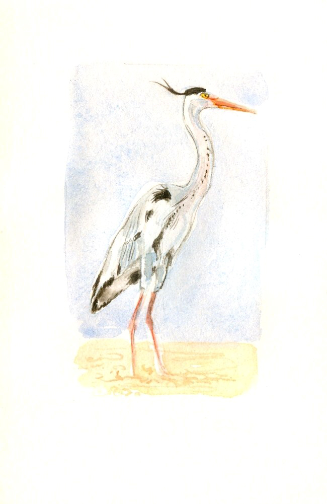 [Digitalizar0002.jpg]