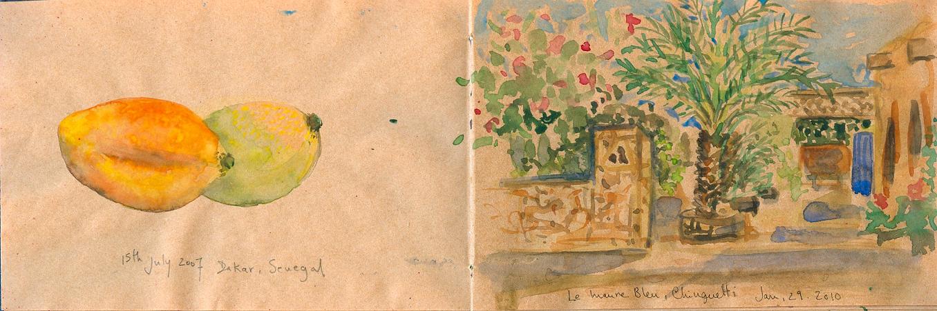 [mangoes+et+Chinguetti.jpg]