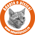 Adopta o pisica