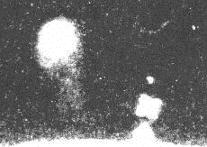 lunar transient phenomena lunar transient phenomena
