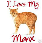 The Manx Cat